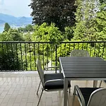 Pallavicino - Il Faggio Rosso *